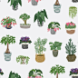 36种植物插画矢量素材下载 EPS - 设汇