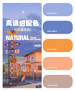 配色-花瓣网|陪你做生活的设计师 | 一些来自大自然的高级感配色