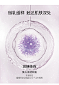 华熙生物夸迪氨基丁酸多肽紧致精华次抛原液安瓶面部精华-tmall.com天猫