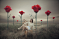 People 1992x1317 women models brunettes fantasy art high heels roses photo manipulation red flowers