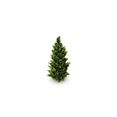 一只兔子_14228采集到png-植物素材
