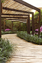 garden path + bamboo flooring