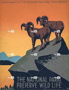 国家公园保护野生动物水保护协会海报