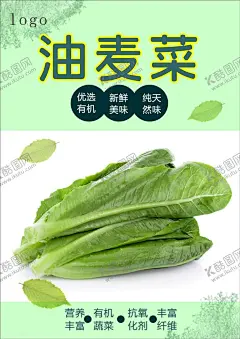 油麦菜海报 【酷图网】油麦,新鲜油麦,绿色油麦,美味蔬菜,营养蔬菜,绿色蔬菜,油麦海报,油麦广告,油麦高炮,油麦装饰画,开洋娃娃菜,菜籽,儿儿菜,干锅,油麦挂画,油麦宣传,油麦画册,油麦灯箱,油麦杂志,油麦折页,油麦包装,油麦彩页,菜谱内页,菜牌,水果宣传,蔬菜展板,蔬菜超市,蔬菜市场,蔬菜广告,蔬菜,海鲜,超市