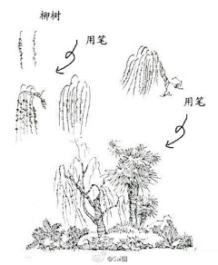 玉海园采集到插画植物