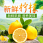 淘宝水果高点击精品直通车主图模板版