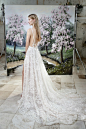 Galia Lahav Modern Fairytale-Inspired Wedding Dress Collection G-205 Back