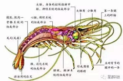 縱橫無礙采集到茶一味