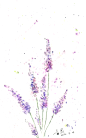 20141015155912_eahyY