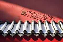 雪后天晴腊梅元素