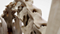 马骨骼肌肉解剖模型 HORSE ECORCHE 3D Models
