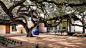 StudioOutside_Olmos_01