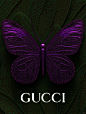 GUCCI·蝴蝶 - 小红书
