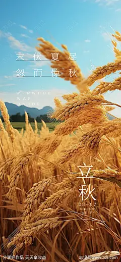 立秋节气海报-源文件-志设网-zs9.com