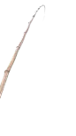竹鱼竿