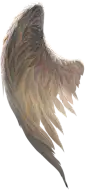 翅膀1