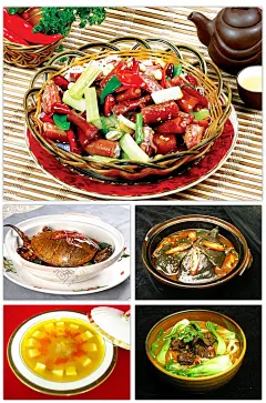 81款 高清煲仔菜美食摄影图片素材