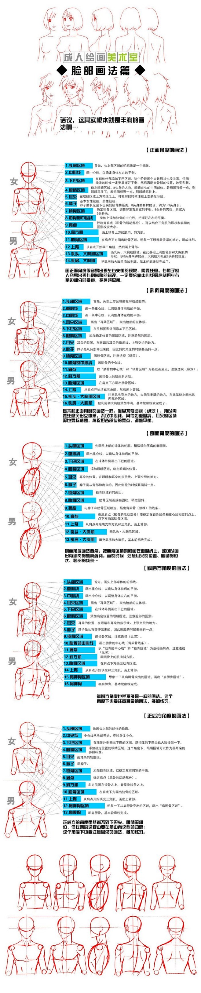 人体上身画法教程