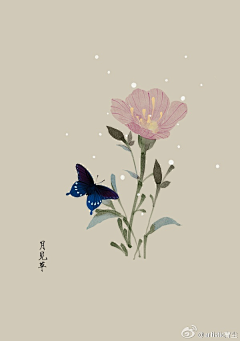 旮旯k采集到花类