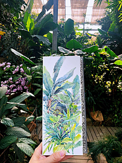 繁丽Flora爱绘集采集到《走哪画哪》