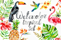 Watercolor tropical set : watercolor tropical elements 