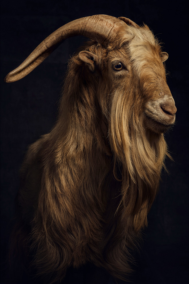 LEO MESSI / PAPER Ma...