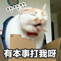 油牌表情包@楼板娘 ​​​​