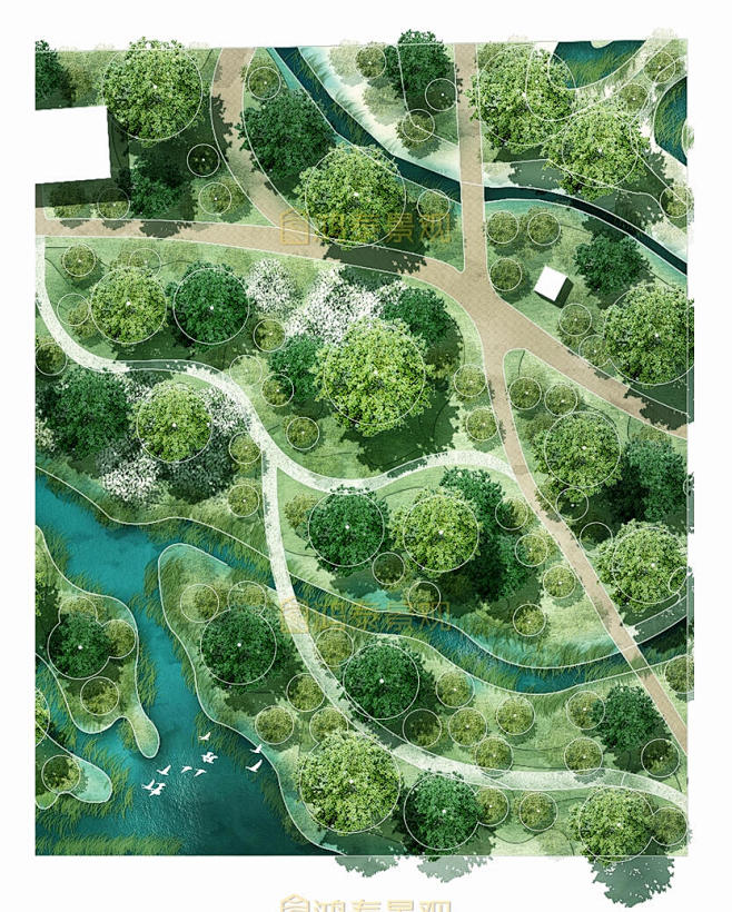 原创竞赛风湿地公园景观彩平PSD素材小清新公园景观设计psd总平PS-淘宝网_3403614269.j_3403614269