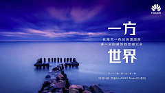 白羊思玺采集到席下