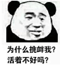 (2 封私信 / 7 条消息) 你用过的最沙雕的表情包是什么？ - 知乎 : 啊哈哈哈哈哈哈照片图库里的三百多张表情包终于找到了最合适的地方多图预警！！！我把每张图片大概的意思…