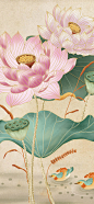中国风荷花插画-1