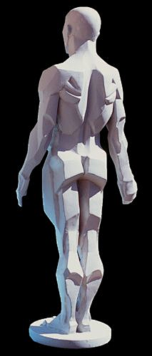 人体结构