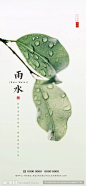 雨水