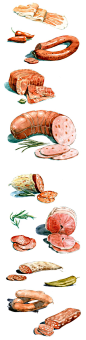 鱼片 辣椒 香肠 肉片 藕 Food illustrations made for supermarket