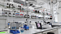3D laboratory lab