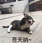 Easy Girl 们终究会因为自己的所作所为付出代价吗？ - 知乎