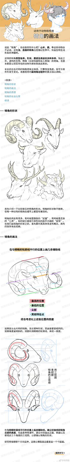 猪的棉花糖梦采集到角和牙齿