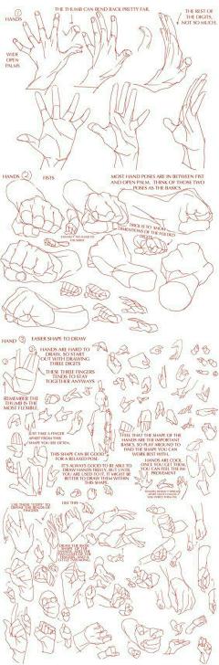 iTrouble采集到HumanBody Structrue