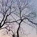 谁的青春不迷茫11112