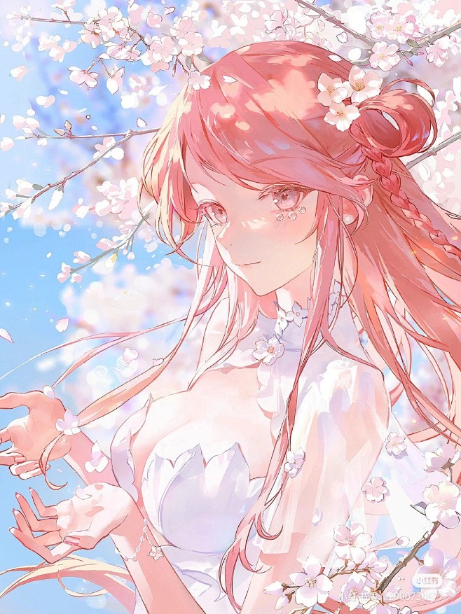 粉 樱花 光影