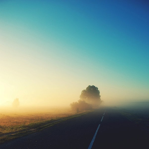 Foggy Road · Beautif...