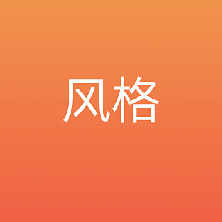 风格