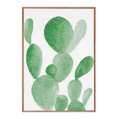 ooooooo·采集到文艺植物插画