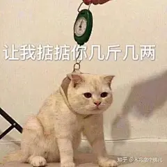 迷惑 表情包的搜索结果_百度图片搜索
