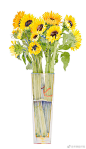 玻璃瓶花。| 绘画：水彩艺术家Thomas Reynolds ​​​​