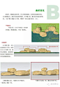 【景观置石手册①】景石分类 — 选购 — 堆砌 — 你真的懂吗？