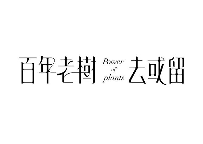 Chinese Typography 0...