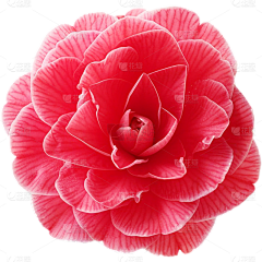 新Yolly采集到临时