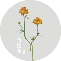 骄纵不傲采集到包装