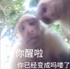 【-圣-】采集到嗡嗡嗡